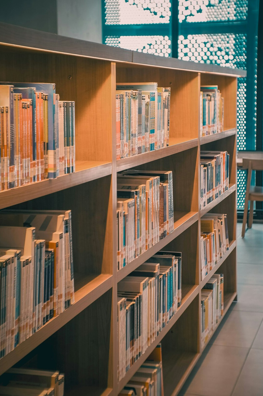 Shelves of books in a calm library